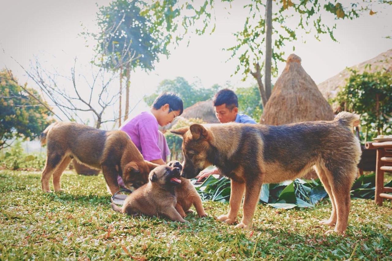 Mai Chau Valley Retreat エクステリア 写真