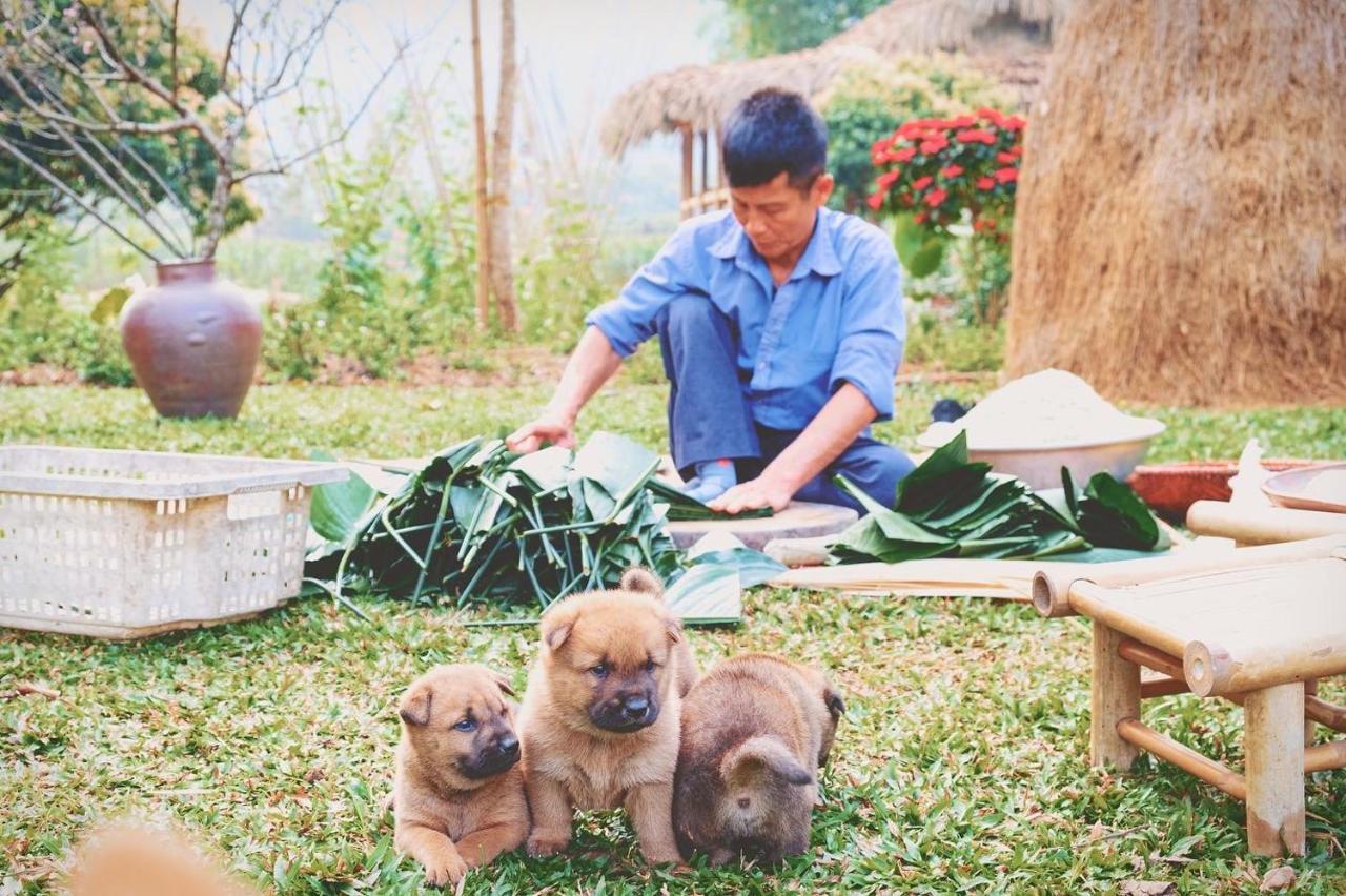 Mai Chau Valley Retreat エクステリア 写真